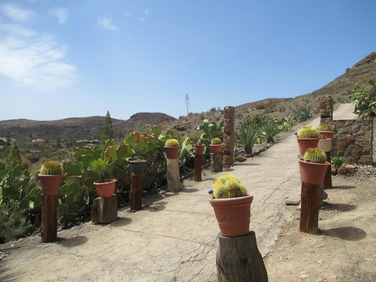 Vivelorural Casa En Valle De Chira Con Piscina San Bartolomé Екстериор снимка